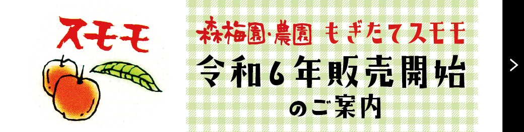 令和6年スモモ販売開始