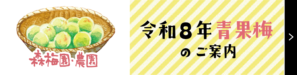 令和8年青果梅販売について