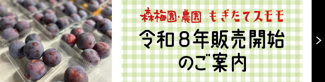 【MAKUAKE】